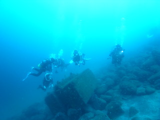 M0020233