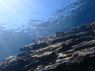 P6030891