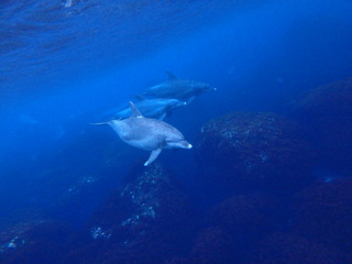 P6240207