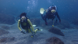 PB050060