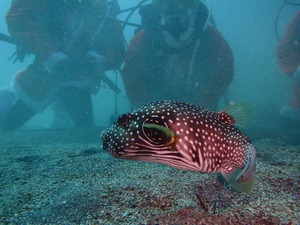 PC060018