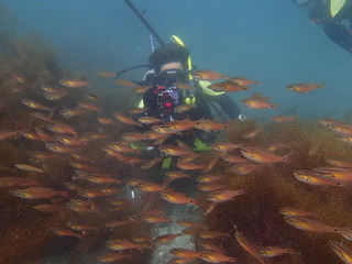 P7120146