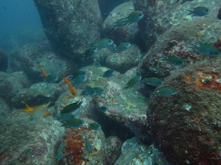 P9220298