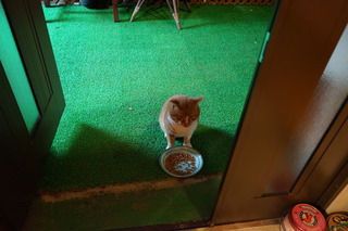 DSC00908