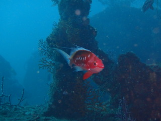 PB050097