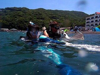 エントリーからフィンをはく