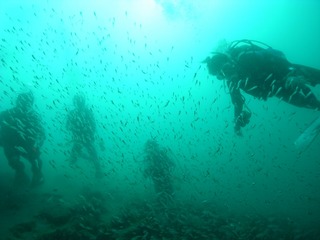 お魚に囲まれて 9.27井田
