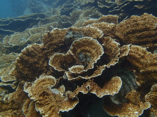 P6060736