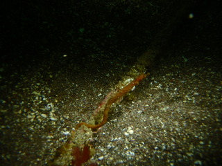 P2220049