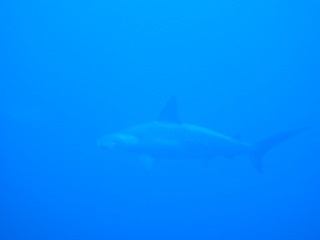 M1058321