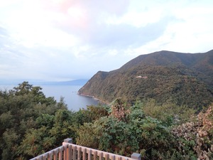 PA180063 (1)