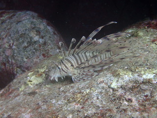 P5140128