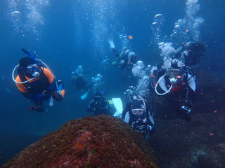 P8120138