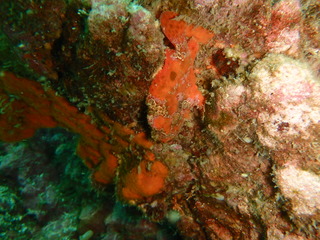 P5220097