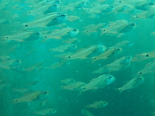 P6260134
