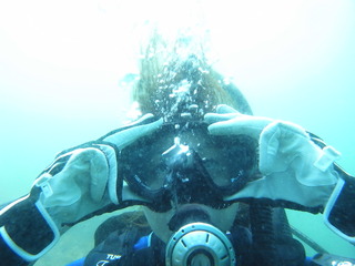 M0016624