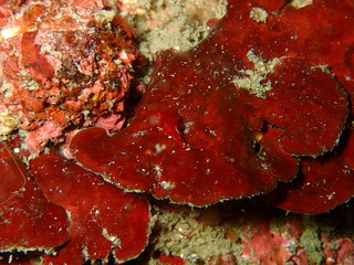 P3150920