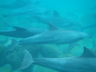 P9200074