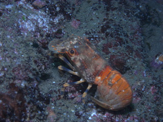 M1018534