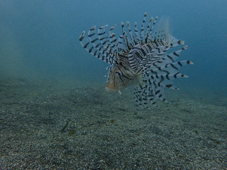 P5130069
