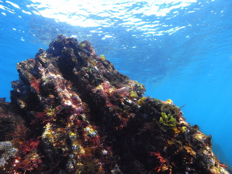 M0015651