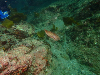 P6110165