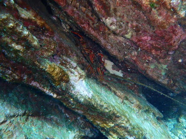 P2130012