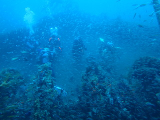 PB050321