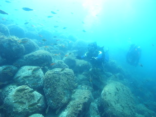 M0018864