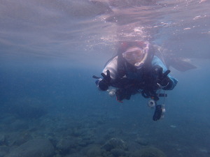 P5040015
