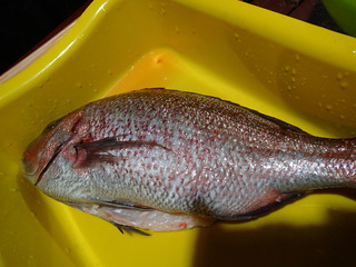 P2070231