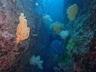 PC310042