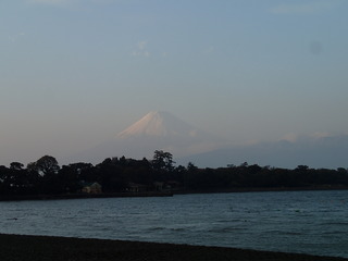 P3140836