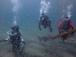 P8051075