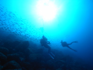 M0020691