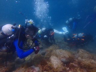 P7110048