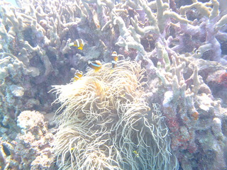 DSCF9789