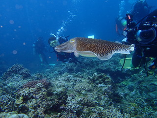 P6050590