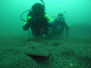 M0017749