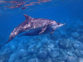 P9100989