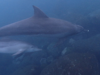 P9260121