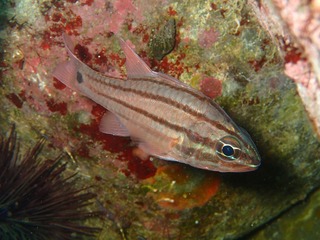 P3200285