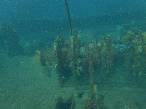 P5060112