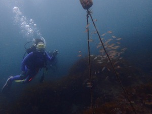 P7090062