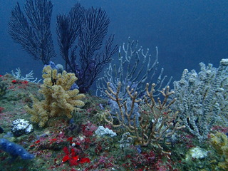 PB030221
