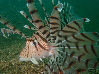 P5120905