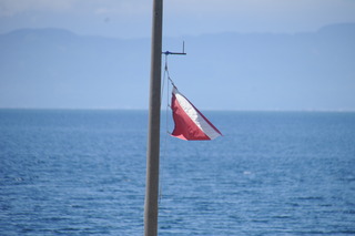 DSC_1914