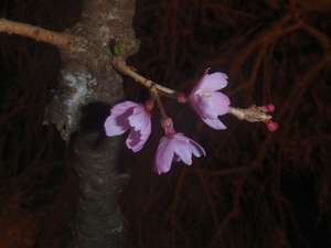 P3250109