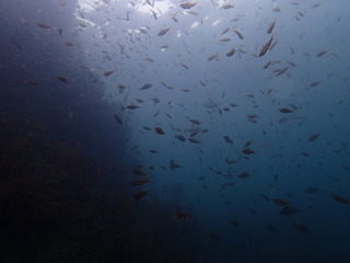 P9270205