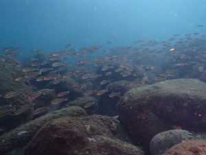 PA180063